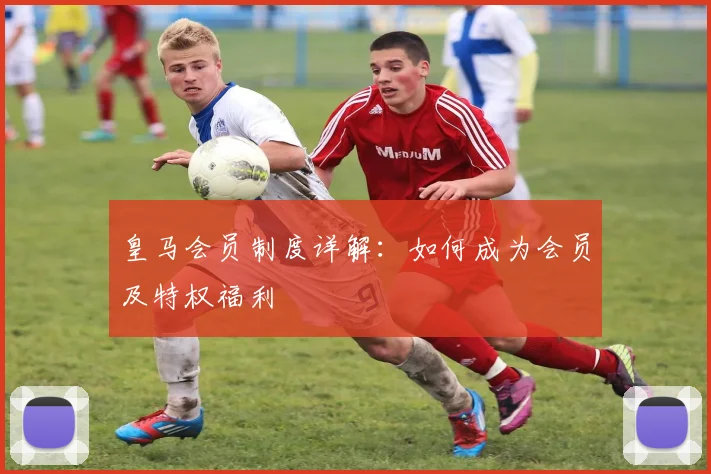 皇马会员制度详解：如何成为会员及特权福利